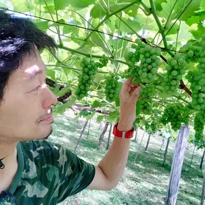 Agri Coeurの醸しワインセット　0160-2505