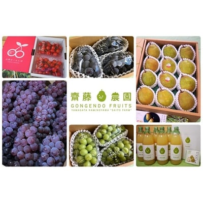 【定期便:全6回】旬の特選フルーツ定期便　0037-2601