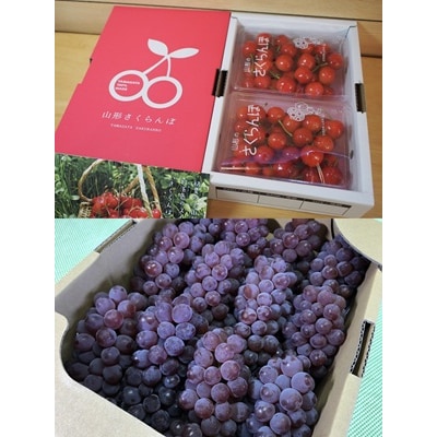 【定期便:全6回】旬の特選フルーツ定期便　0037-2601