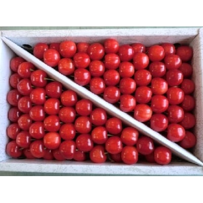 さくらんぼ(佐藤錦)1kg詰め　特秀品　0056-2608