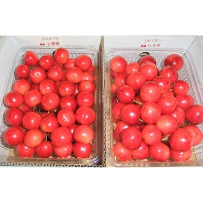 温室さくらんぼ味比べ(佐藤錦と紅秀峰)1kg　0112-2607