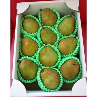 西洋梨(ラ・フランス)3kg　10～11玉　特秀品　0042-2606