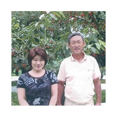 西洋梨(ラ・フランス)3kg　10～11玉　特秀品　0042-2606