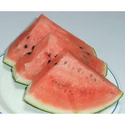 大玉すいか(祭りばやし)1個　0030-2624