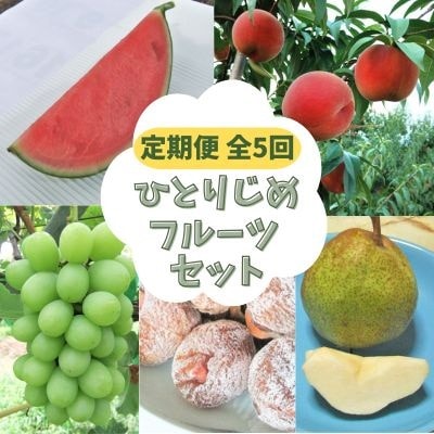 【定期便:全5回】ひとりじめフルーツセット　3000-2603
