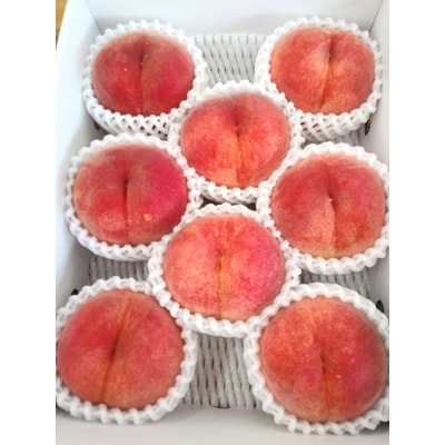 【定期便:全5回】ひとりじめフルーツセット　3000-2603