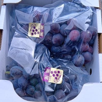 山形のぶどう(高尾)2～4房　合計2kg　ご家庭用　0017-2605