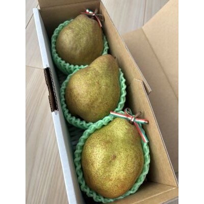 西洋梨(シルバーベル)大玉3玉　贈答用　0142-2615