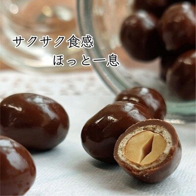 Eサイズ　ポリッピーチョコ　40g×10袋　0019-2601