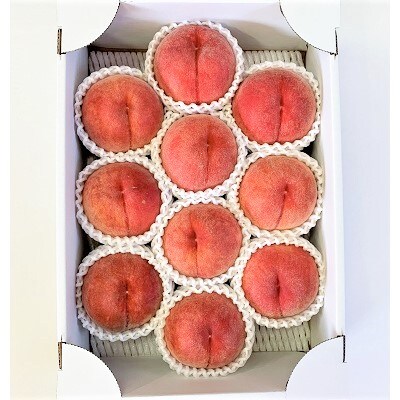 桃(川中島)2.5kg　0120-2601