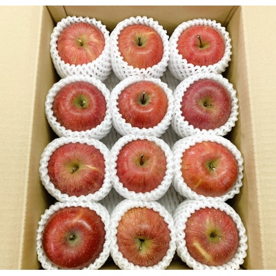 りんご(サンふじ)3kg　9～13個　秀品・ご家庭用混合　0120-2607