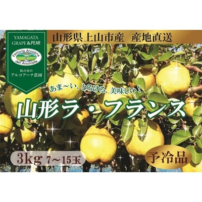 山形ラ・フランス　3kg　ご家庭用　0148-2616