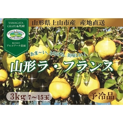 山形ラ・フランス　3kg　ご家庭用　0148-2616