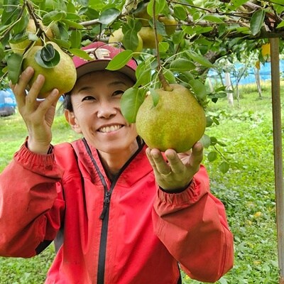 山形ラ・フランス　3kg　ご家庭用　0148-2616