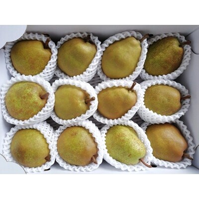 山形ラ・フランス　3kg　ご家庭用　0148-2616