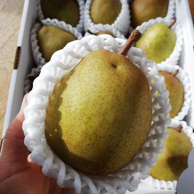 山形ラ・フランス　3kg　ご家庭用　0148-2616