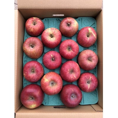 りんご(ふじりんご)5kg　0007-2603