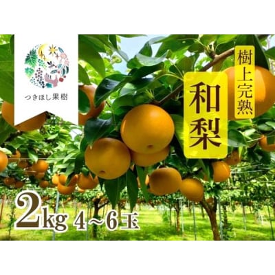 山形県産【樹上完熟】和梨(あきづき)2kg　ご家庭用　0140-2604
