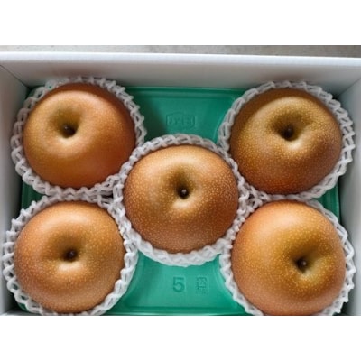 山形県産【樹上完熟】和梨(あきづき)2kg　ご家庭用　0140-2604