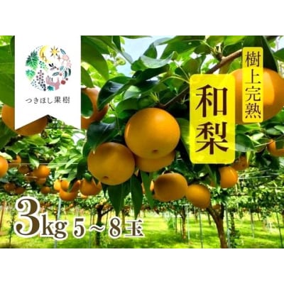 山形県産【樹上完熟】和梨(あきづき)3kg　ご家庭用　0140-2605