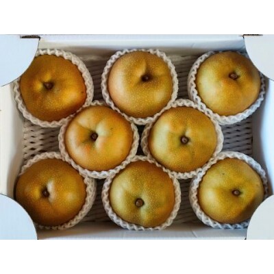 山形県産【樹上完熟】和梨(あきづき)3kg　ご家庭用　0140-2605