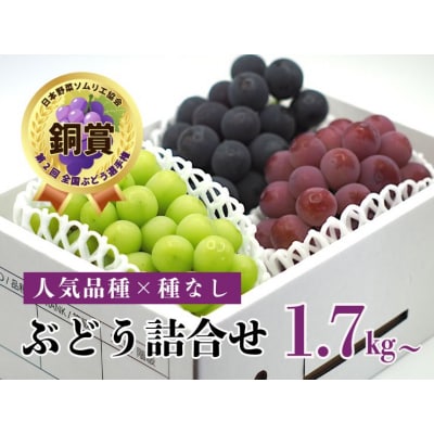 【産地直送】シャインマスカットと大粒系ぶどう詰合せ　1.7kg以上　0140-2606