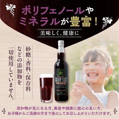 美味しい上山・山ぶどうジュース(原液)550ml×2本　0140-2610