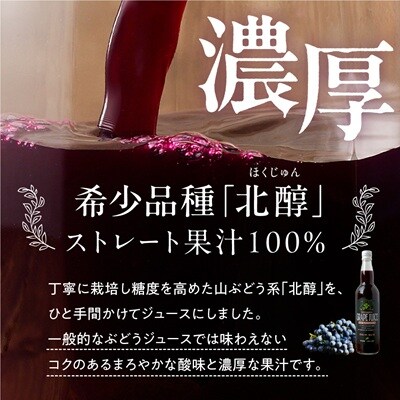 美味しい上山・山ぶどうジュース(原液)550ml×6本　0140-2611