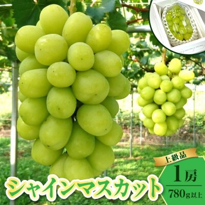 大粒シャインマスカット(上級品)　1房　780g以上　0009-2605