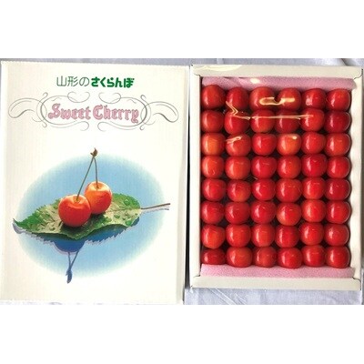 さくらんぼ(佐藤錦)500g　特秀品　手詰め　0069-2604