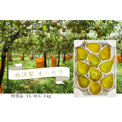 西洋梨(オーロラ)3kg　10玉　3L　特秀品　0062-2602