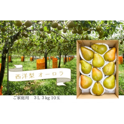 西洋梨(オーロラ)3kg　10玉　3L　ご家庭用　0062-2603