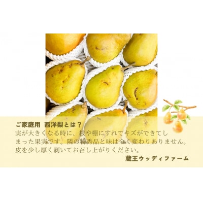 西洋梨(オーロラ)3kg　10玉　3L　ご家庭用　0062-2603