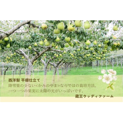 西洋梨(オーロラ)3kg　10玉　3L　ご家庭用　0062-2603