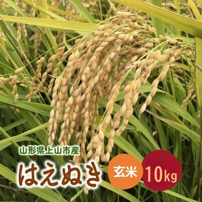 【2026年11月～発送】令和8年産 山形県産 米 はえぬき (玄米) 10kg 0079-2644