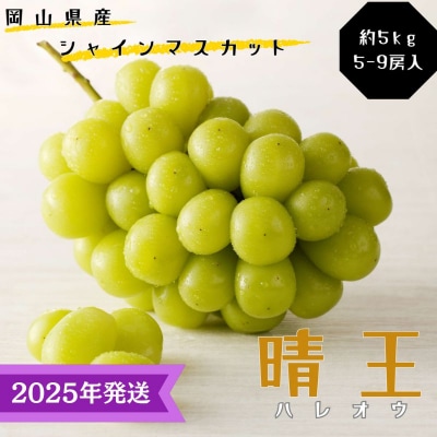 シャインマスカット 晴王 秀品 大房 約5kg (5～9房) 岡山県産 [No.5735-3343]