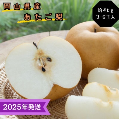 【2025年先行受付】 あたご梨 秀品 約4kg (3～6玉) 岡山名産[No.5735-3346]