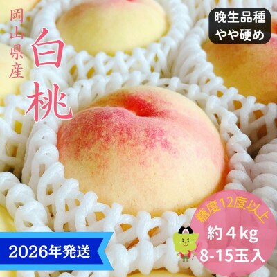 白桃 特秀 ロイヤル 大玉 晩生品種 約4kg(8～15玉) 岡山県産 [No.5735-3357]