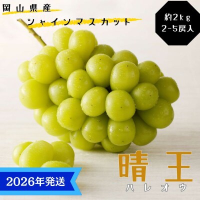 シャインマスカット 晴王 秀品 大房 約2kg(2～5房) 岡山県産 [No.5735-3362]