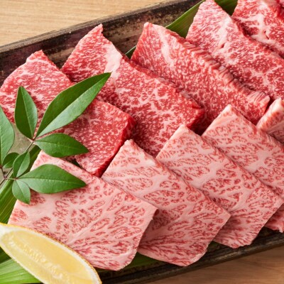 A4～A5 博多和牛 焼肉用 500g[No5354-0538]