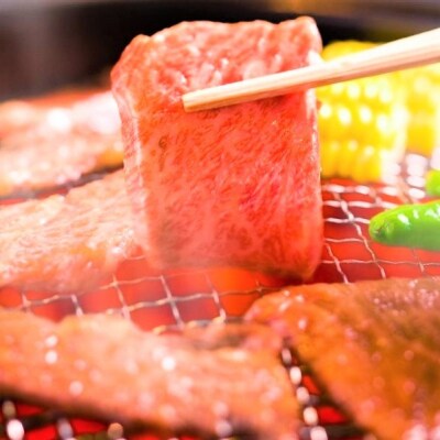 A4～A5 博多和牛 焼肉用 500g[No5354-0538]