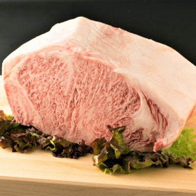 A4～A5 博多和牛 サーロイン ステーキ 500g (250g×2枚)[No5354-0539]
