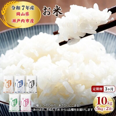 定期便 3ヶ月 令和7年産 お米 5kg×2袋 特A 岡山県 瀬戸内市産[No.5735-1808]