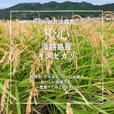 淡路島産「橙心(きぬひかり)」精米2kg