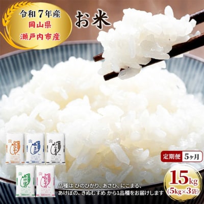 定期便 5ヶ月 令和7年産 お米 5kg×3袋 特A 岡山県 瀬戸内市産[No.5735-1816]