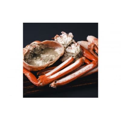 <10月上旬～配送予定>境港産茹で紅ずわい蟹(大)500～600g×2枚