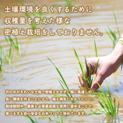 《定期便8ヶ月》あきたこまち【白米】3kg |05_kml-010308