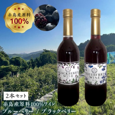 糸島産 ブルーベリー/ブラックベリー ワイン 720ml×2種セット[AHM001]