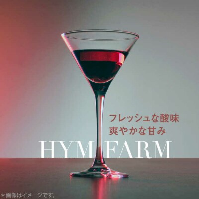 糸島産 ブルーベリー/ブラックベリー ワイン 720ml×2種セット[AHM001]
