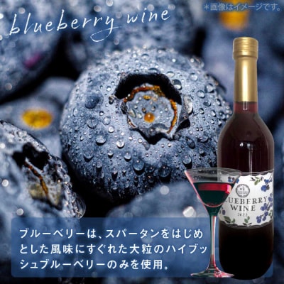 糸島産 ブルーベリー/ブラックベリー ワイン 720ml×2種セット[AHM001]